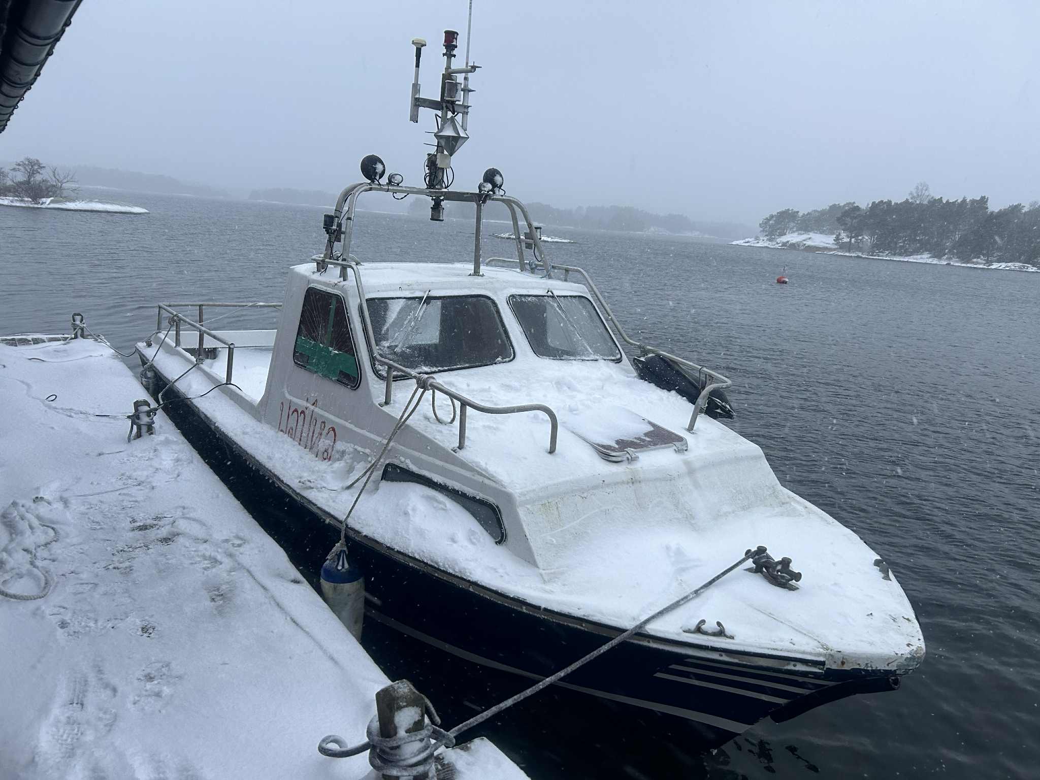Ålen
